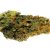Indoor Cannabis for sell online